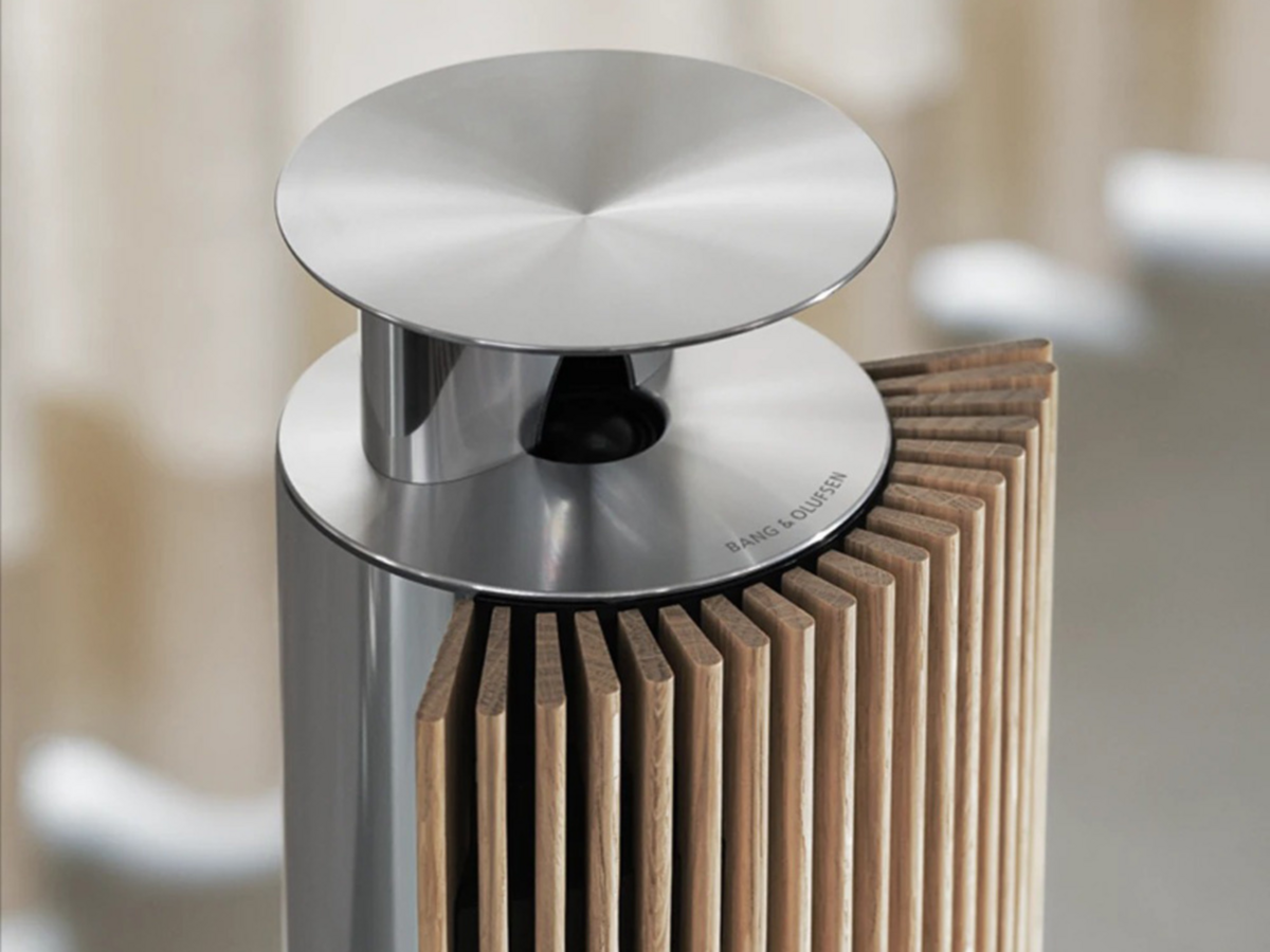 Chi tiết Loa B&O Beolab 18 - Hình 4